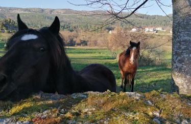 Casa do Negrões - Foto 31