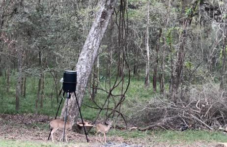 Riverside country retreat with easy access to all that Houston has to offer - Foto 62