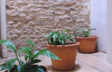 The Green Balcony - Foto 9