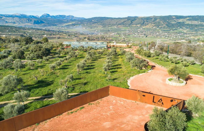 Visita a la finca LA Almazara con cata de aceites - Foto 5