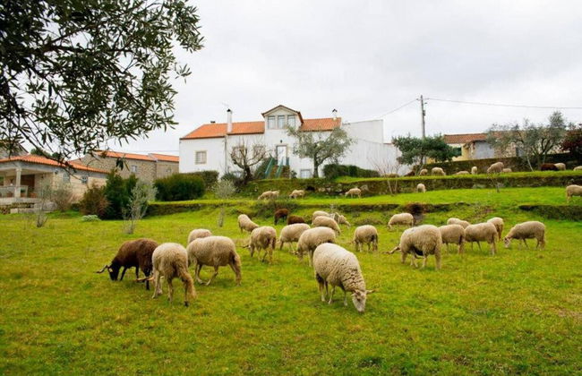 19th Centry Farmhouse Getaway - Sleep 12-14 W/pool - Foto 21