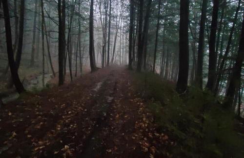 Timber Riverhouse - Foto 42