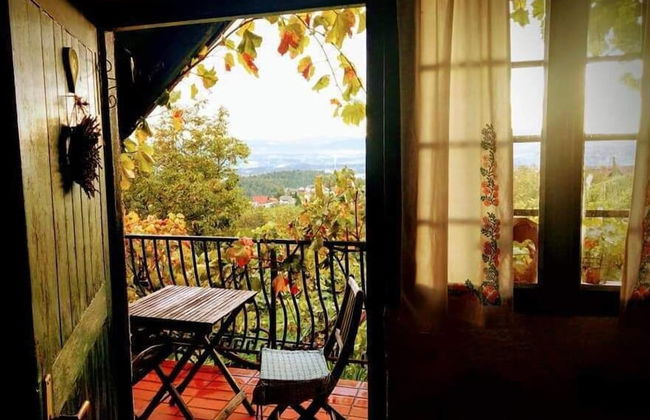 Vineyard cottage Verček - Photo 22