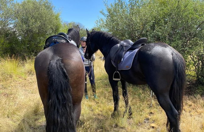 Goshen Guest Farm - Foto 10