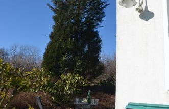 Ferienwohnung Sonnenblume - Foto 3