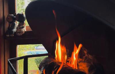 Chalé Cores da Mata - Foto 53