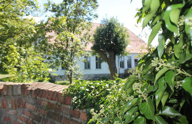 Ferienwohnung in Steffenshagen mit Garten - Foto 25
