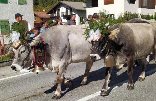 La casa dello scoiattolo primierotto - Foto 28