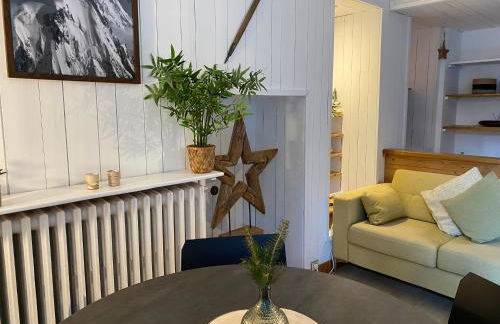 Mer de Glace - Foto 16