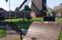 Landhaus Löwenzahn - Foto 55