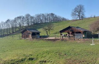 Große tolle 4 Zimmer Ferienwohnung im Herzen des Odenwaldes - Foto 54