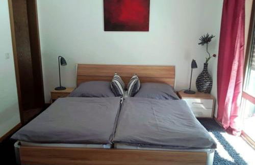 Holiday apartment in Konz with swimming pool - Foto 11