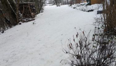 Ferienwohnung Familie Baus - Foto 3, Garden view