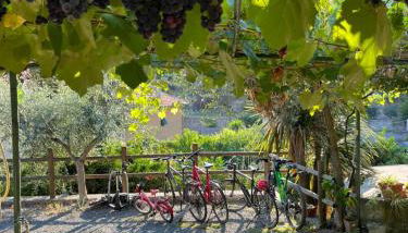 Rocca di Corno Guest House - Foto 4, Garden