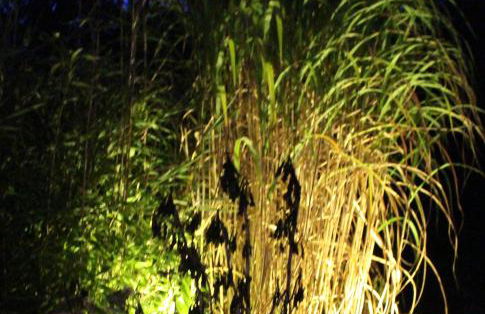 Waldtraum Wendland - Foto 4