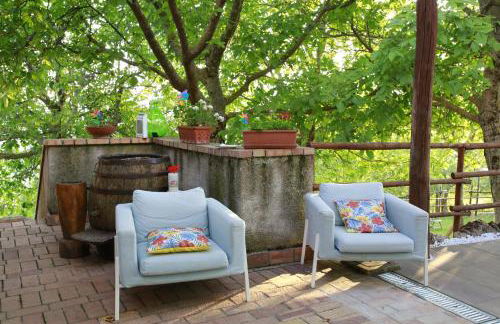 Fattoria Alvaneta - Foto 37