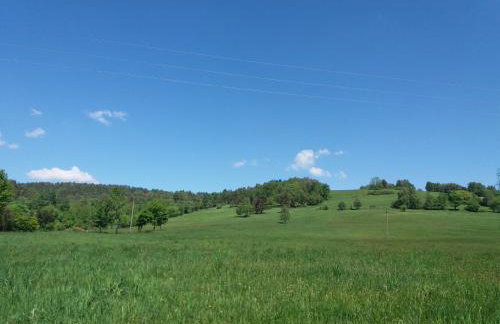 Blisko Lasu - Foto 60