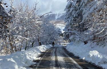 Appartamento immerso nel verde - Foto 14