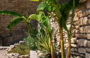 Location Bonnieux Provence - Foto 17