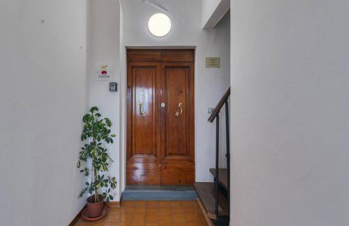 Ciliegia di Lari - Belvedere - Foto 18