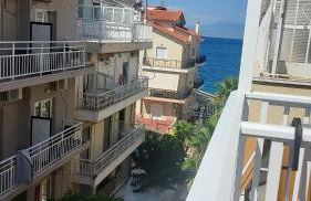 The Cactus Project - Foto 23