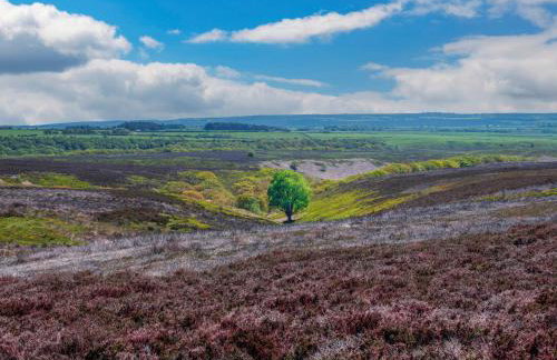 Ewe Lodge - Uk48824 - Photo 18