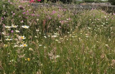 The Old Chapel - Photo 40