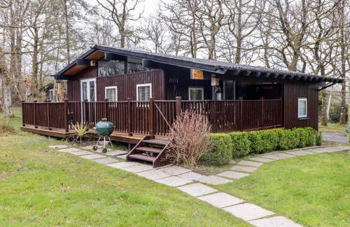 The Bird House - Photo 1