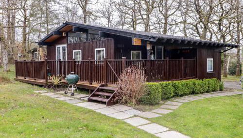 The Bird House - Foto 1