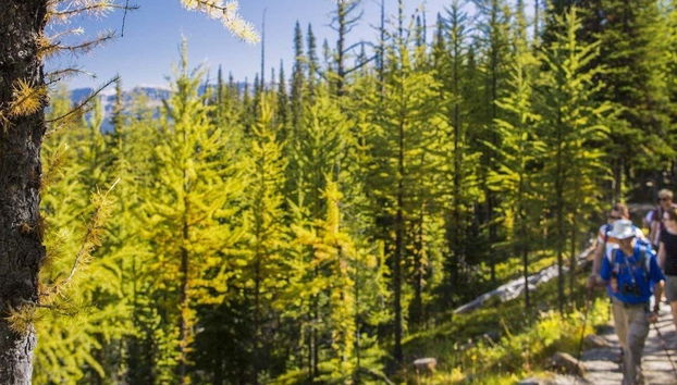 Senderismo por los alrededores de Banff