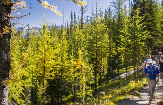 Senderismo por Banff - Foto 4