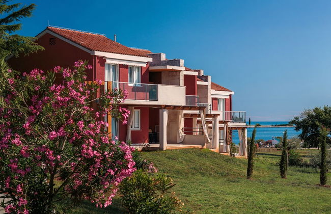 Apartments Katoro Plava Laguna - Foto 1