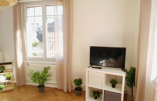 Au 36, Les Apparts Hotel Joigny - Foto 28