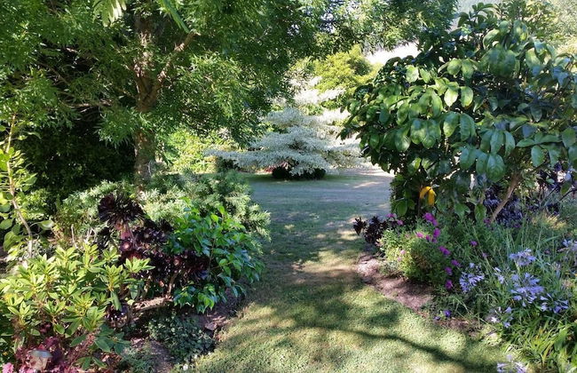 Matai Huka Boutique Accommodation - Foto 19