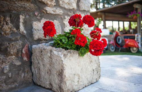 Agriturismo Dipinture - Foto 18