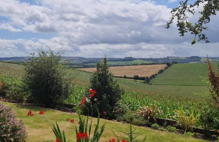 The Thatched Cottage - Foto 45