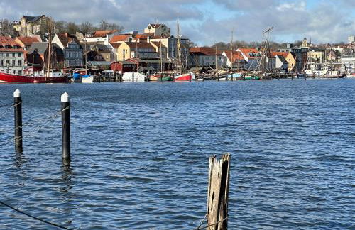 Weitblick - mit Strandkorb, mehr Meer geht nicht - Foto 20