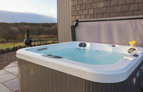 Red Squirrel - Foto 25