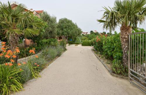 Apartman Olive 2 - Foto 14