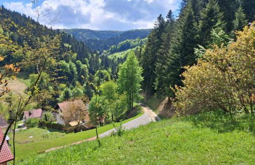 Domek w Jałowcach - Foto 14