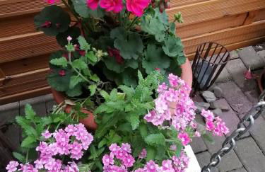 Ferienwohnung Einbeck FeWo B Nolte - Photo 66