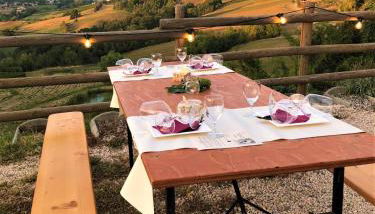 Cantina Visconti - Agriturismo - Foto 5