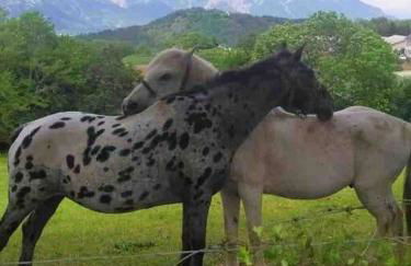 La Maison de Marie « Le Rocher » - Foto 14
