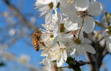 Namaste - Mare, Lago di Bolsena e Terme di Vulci - Foto 39