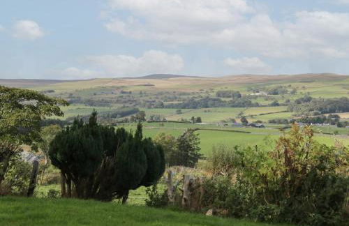 Bryn Dedwydd Farmhouse - Photo 32