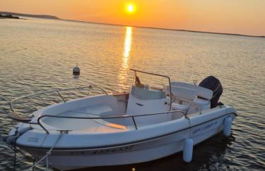 L'occitane - Foto 43