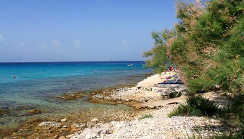 Apartments by the sea Susica, Ugljan - 25080 - Foto 3