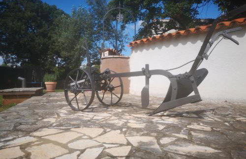 Apartman Luna - Foto 35