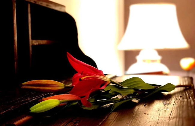 CASA INGENIO Deep Inside Los Mochis - Foto 23