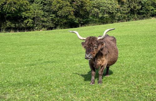 Landhaus Renata Bayrischzell - Foto 76